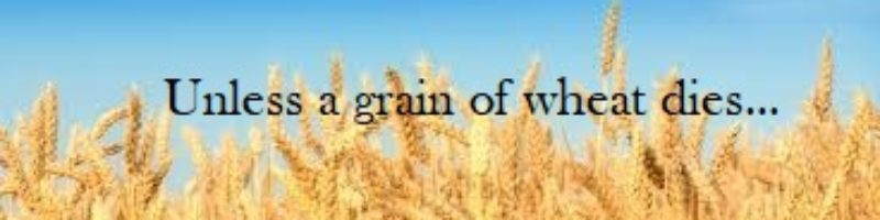 Unless a Grain of Wheat Dies...