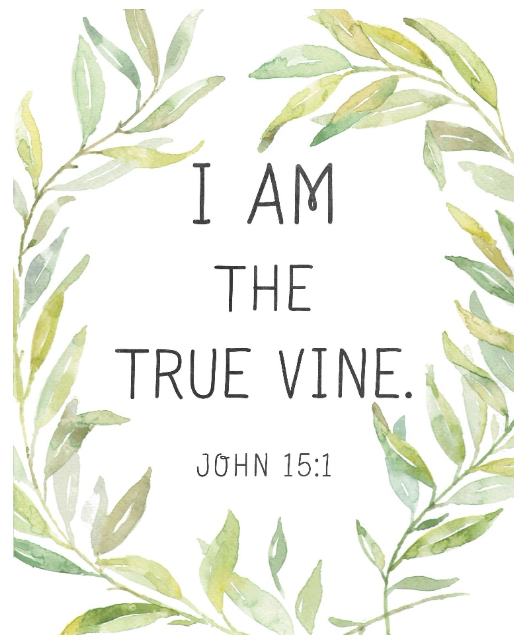 I Am The True Vine