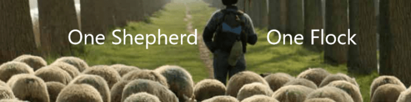 One Shepherd, One Flock