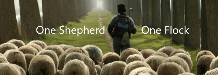 One Shepherd, One Flock