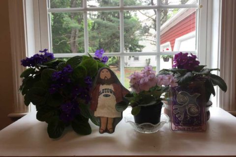 Flat Jesus Among the Violets