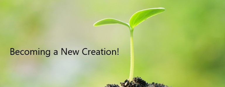 Becoming a New Creation!