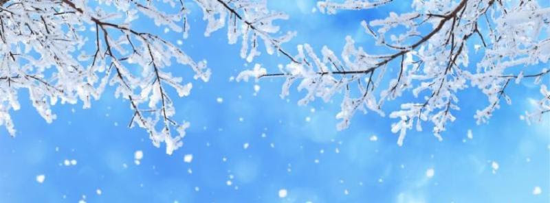 Snow Day