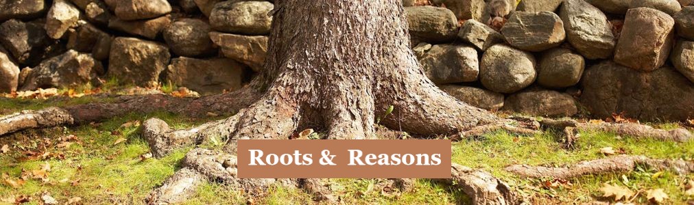 Roots and Reasons